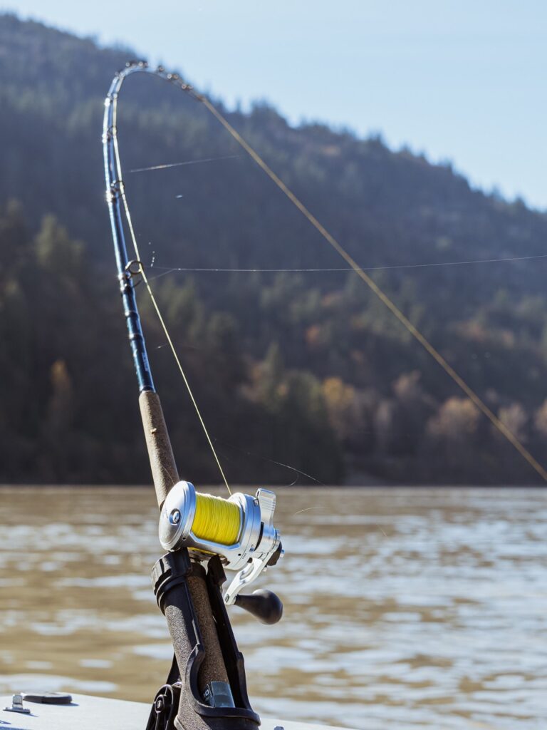 Casted fishing rod attached to a charter boat